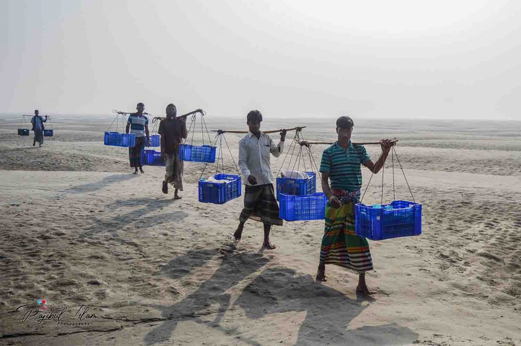 Rales of Jamuna River -photography by md. rajibul islam