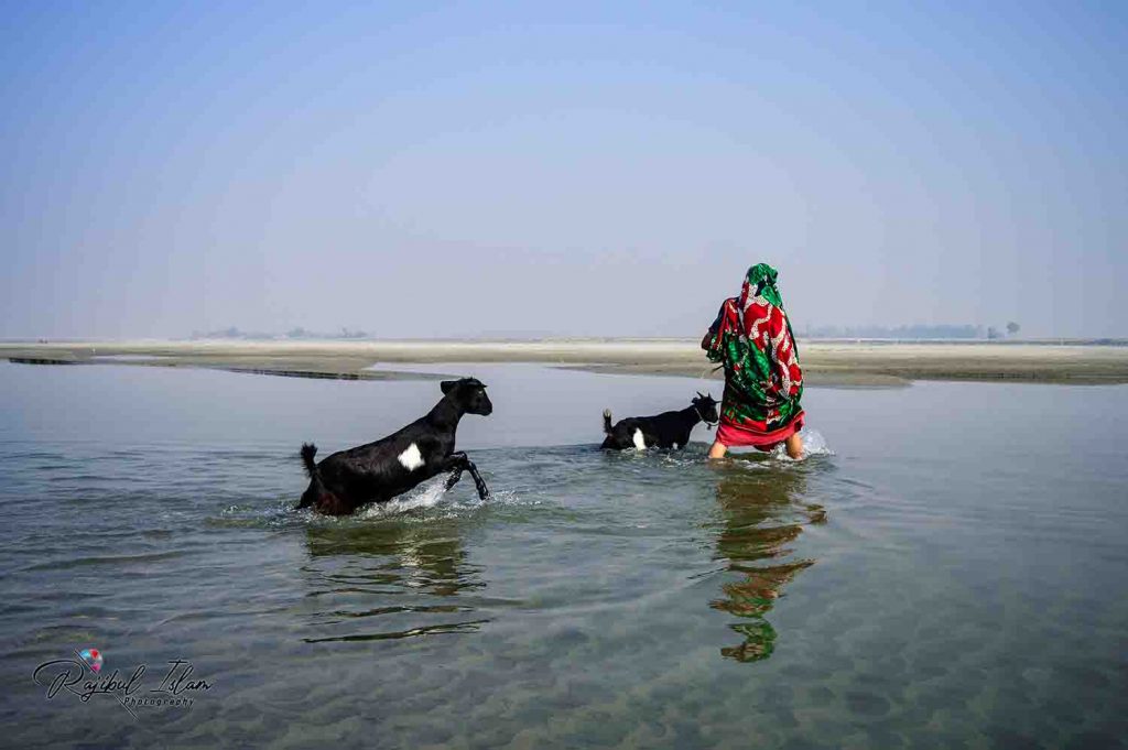 Rales of Jamuna River -photography by md. rajibul islam