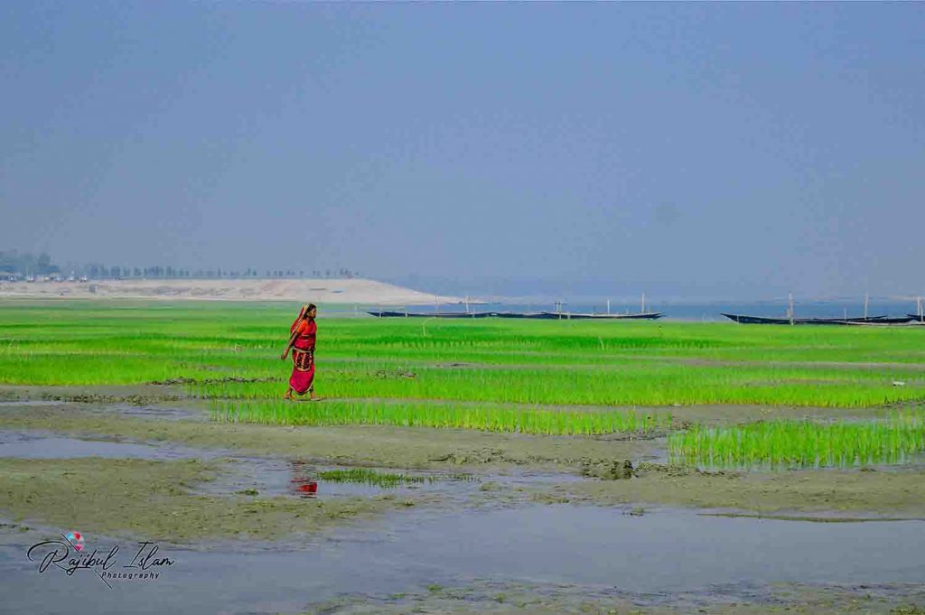 Rales of Jamuna River -photography by md. rajibul islam