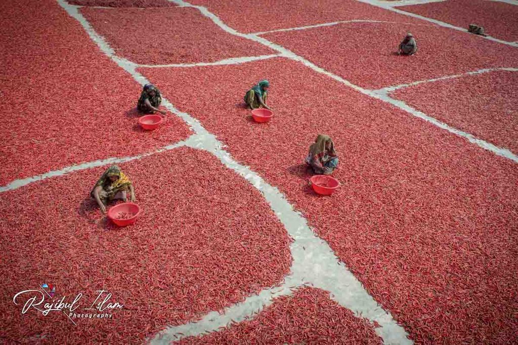 Red Carpet -photography by md. rajibul islam