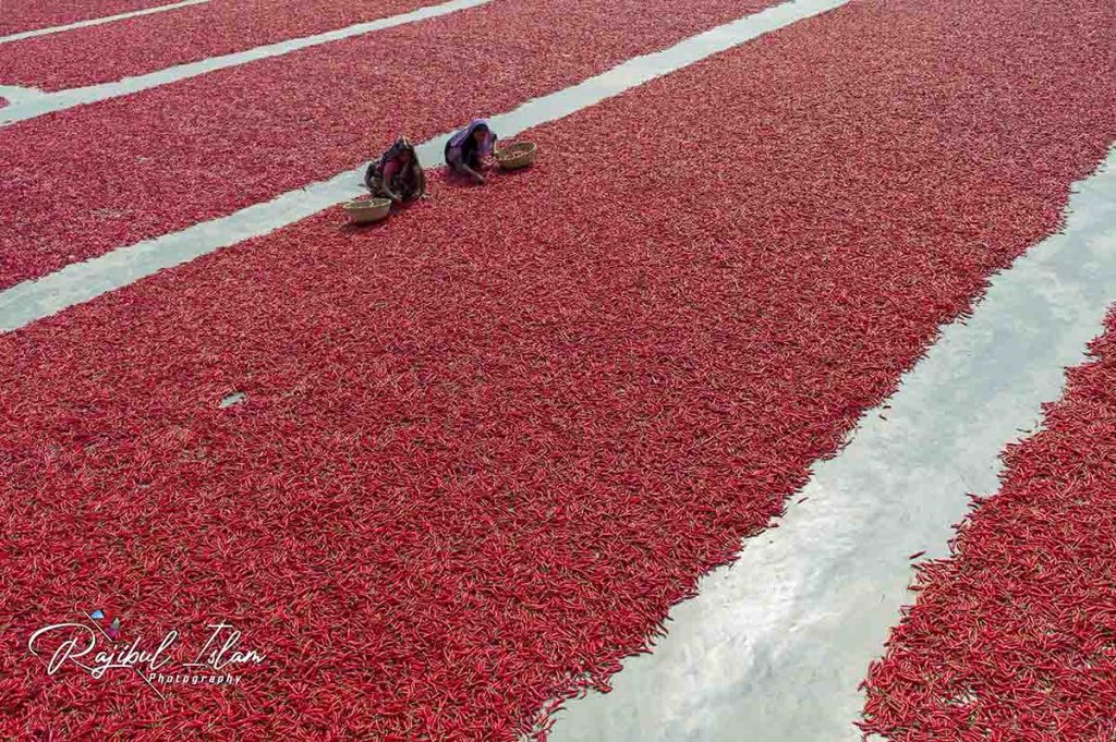 Red Carpet -photography by md. rajibul islam