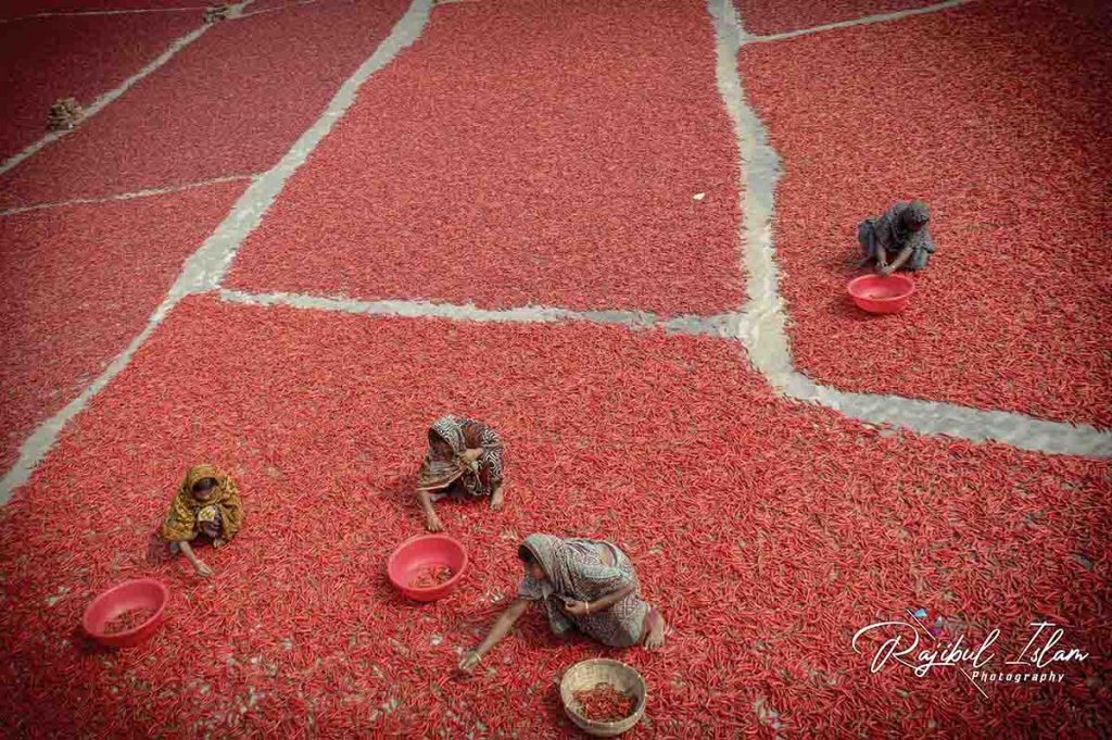 Red Carpet -photography by md. rajibul islam