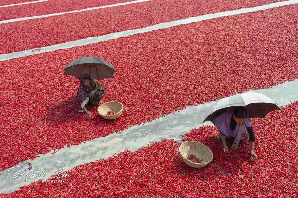 Red Carpet -photography by md. rajibul islam