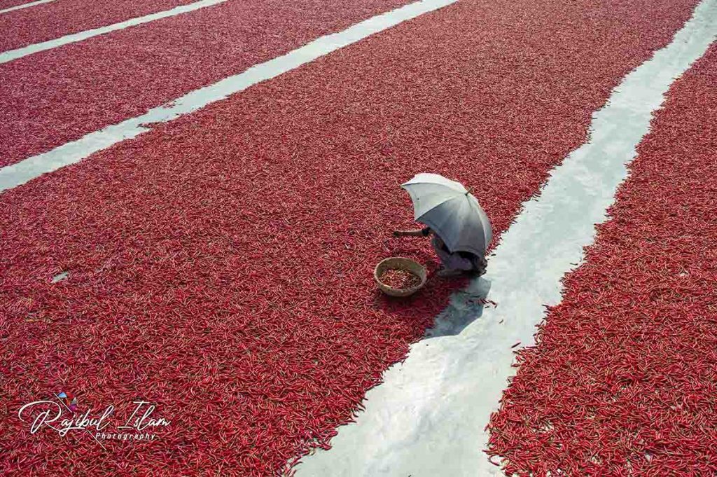 Red Carpet -photography by md. rajibul islam