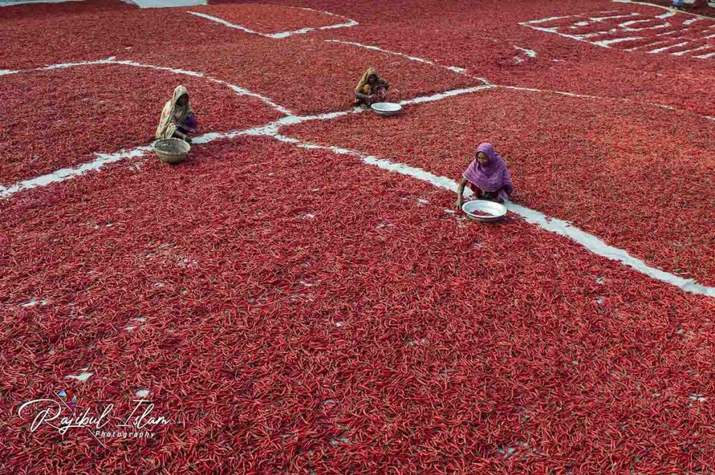 Red Carpet -photography by md. rajibul islam